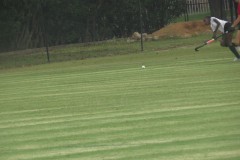 IMG_8187