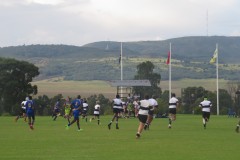 IMG_8223
