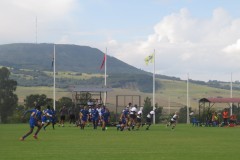 IMG_8226