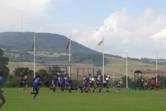 IMG_8227