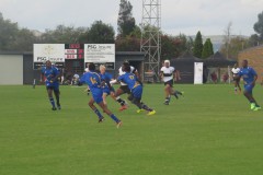 IMG_8233