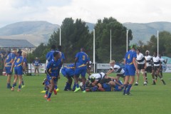 IMG_8235