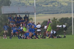 IMG_8253