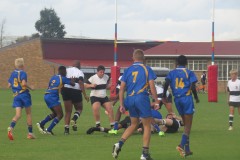 IMG_8264