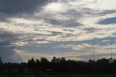 IMG_8269