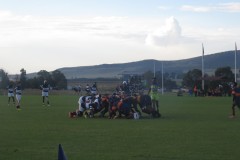IMG_8314