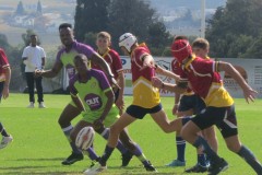 IMG_8381