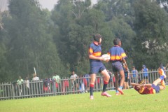IMG_8388