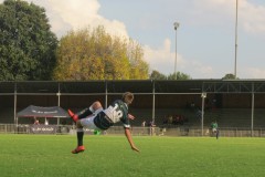 IMG_8621