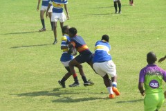 IMG_8791