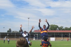 IMG_8804