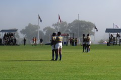 IMG_9012