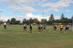 IMG_5331