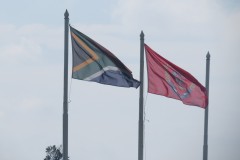 IMG_8782
